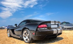 Elementum vel curss eleifen